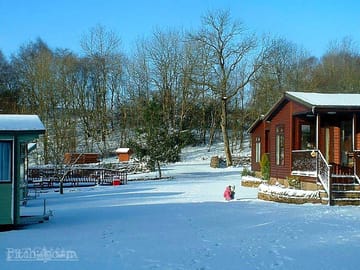 Winter time on the site