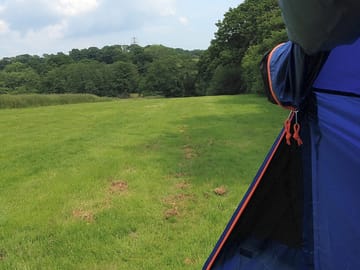 Great views of the fields