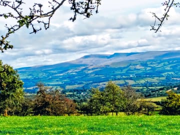 Hill views