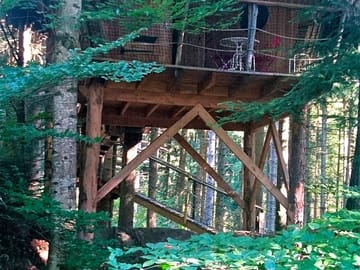Elevated among the trees