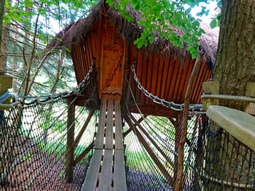 Access walkway to the treehouse