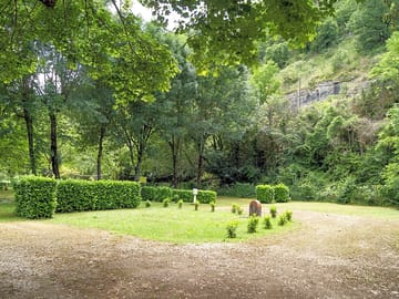 Greenery all around