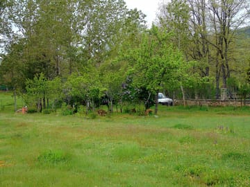 Walking trails