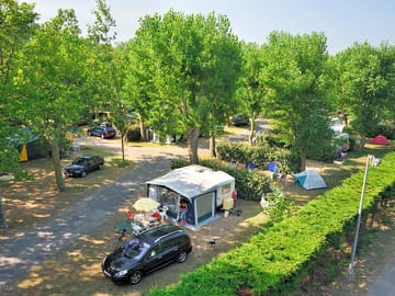 Pitches get their shade from surrounding trees