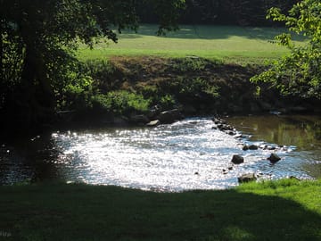 Good fishing in the creek