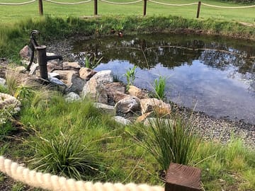 Wildlife pond