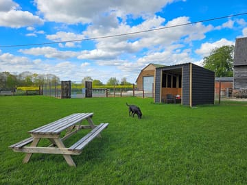 Secure dog-walking area for a fee
