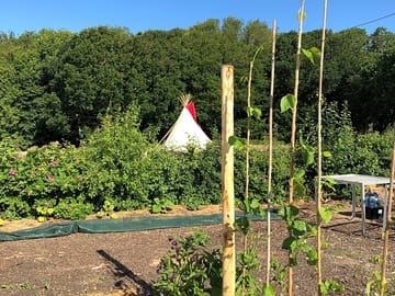 Tipi behind the veg gardens