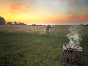Dogs, bbq's and sunset what more do you need...