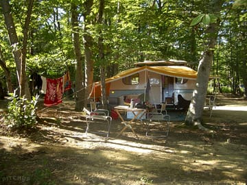 Caravan pitch in the grove