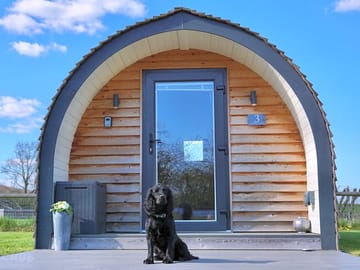 Dog friendly camping pod 3