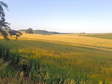 Whittingham vale