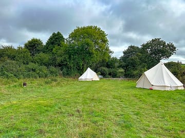 Glamping field