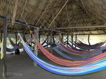 Relax in one of the hammocks
