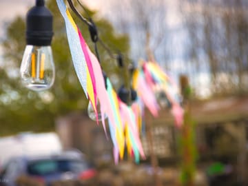 Bunting in the garden