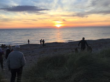 The beach