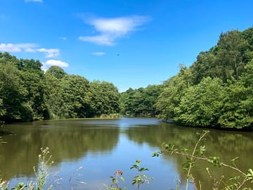 Vann lake is a short walk away