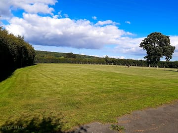 Grass pitches