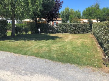 Pitches divided by greenery