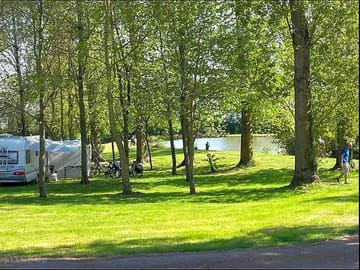 Pitches in the trees