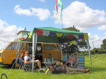 Guests on the site
