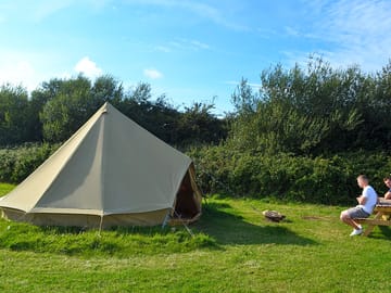Easy access to the new forest