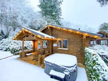 Cabin in the snow