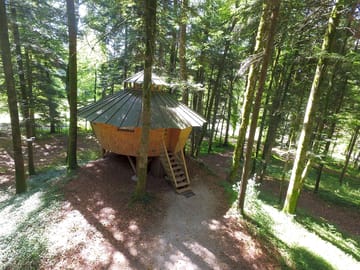Peaceful cabin in the woods