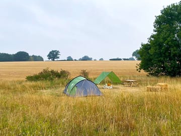 Daisy pitch