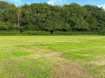 Grassy spaces