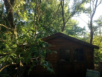 Outside the treehouse