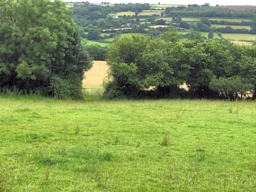 Outlook from pitch