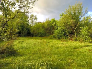Grounds