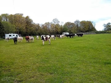 Lower Gages Farm Camping & Caravanning