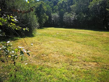 Grass pitches