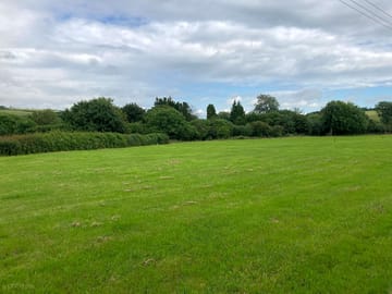 View over the pitches
