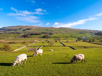 Glorious Wensleydale views