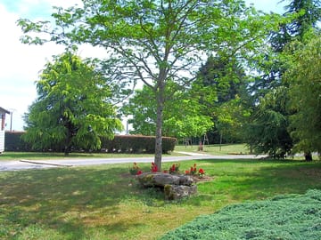 The campsite surrounded by nature