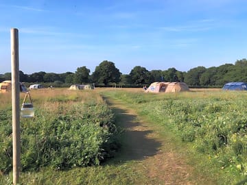 Grass pitches