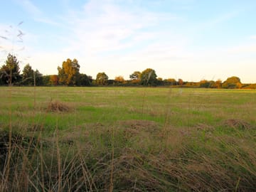 Another of the fields