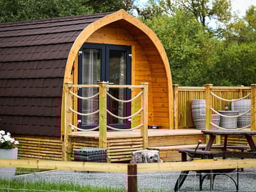 Bumblebee pod exterior