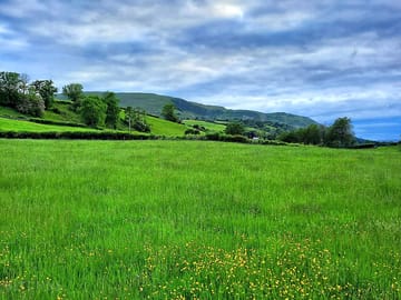 Our beautiful meadow for you to enjoy
