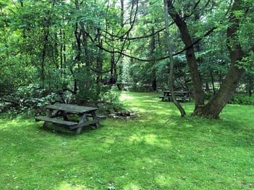 Spacious pitches under the trees