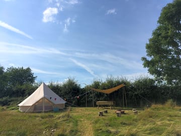 The meadow