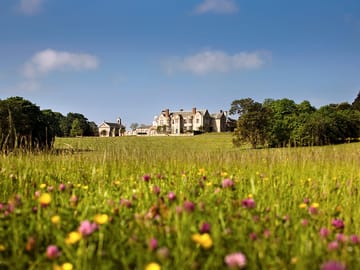 Glynde Place in Spring