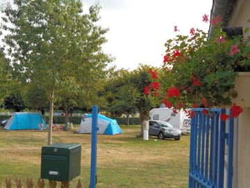 Grass pitches with trees for shade