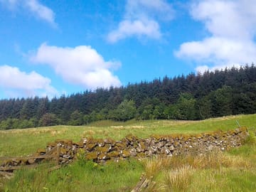 Camping field