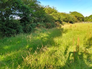 The paddock pitches