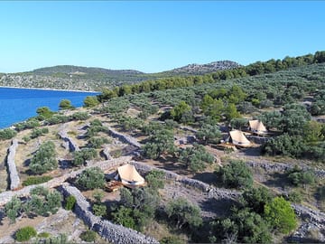 Looking across the site