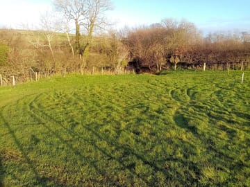Eden Camping pitching area